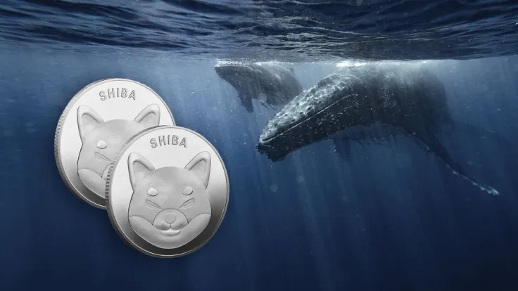SHIB Seems to Have Crisis with Whales, Here's What It Is