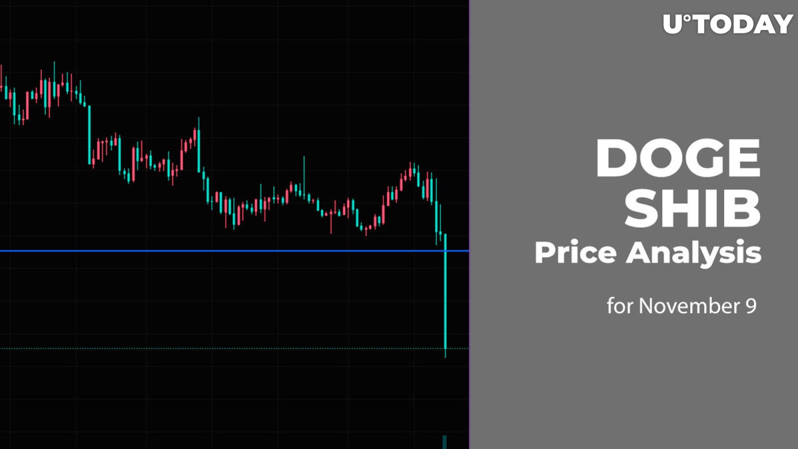 DOGE and SHIB Price Analysis for November 9