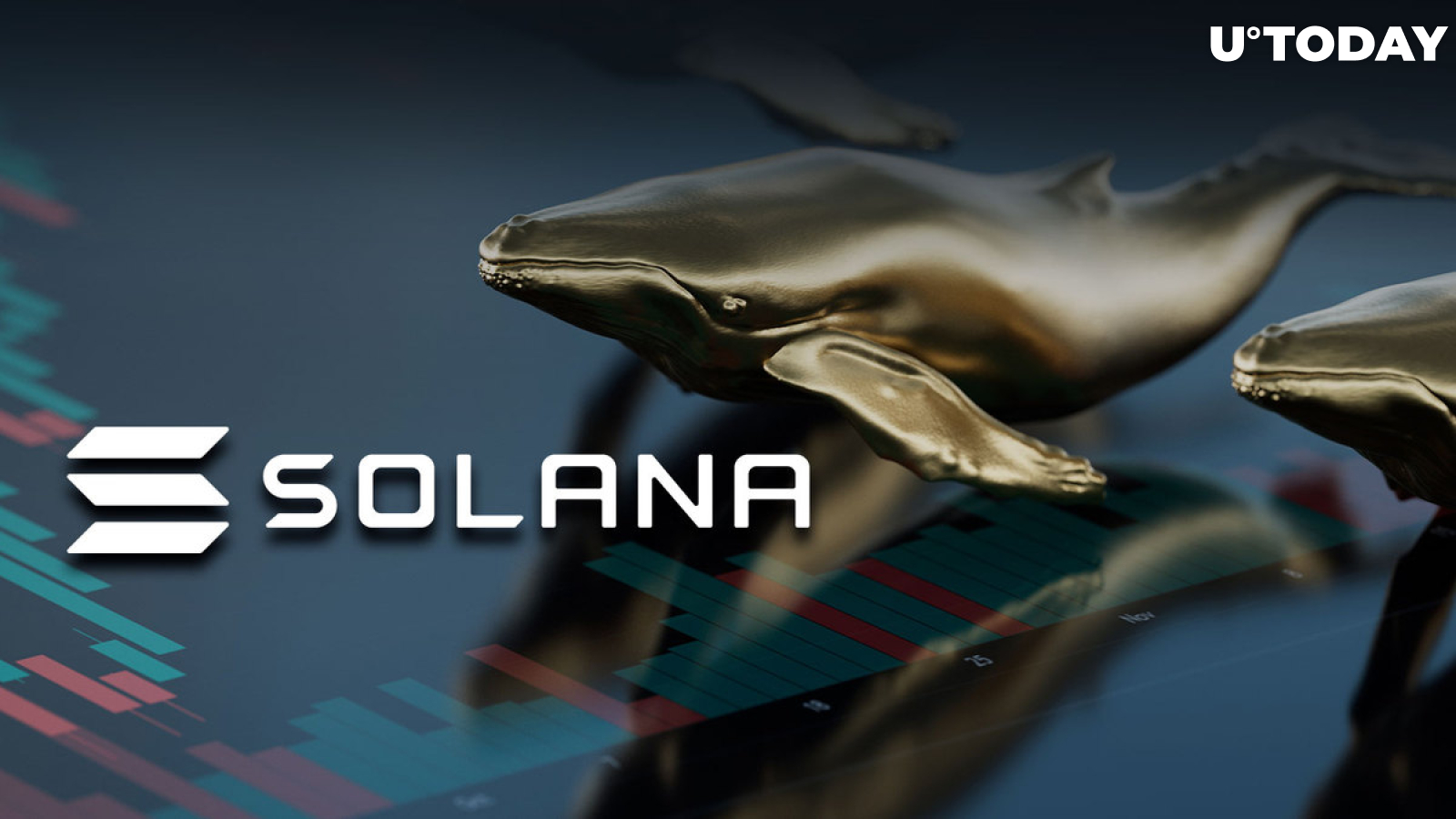 SOL Price Drop Makes BNB Whales Pick It up Massively