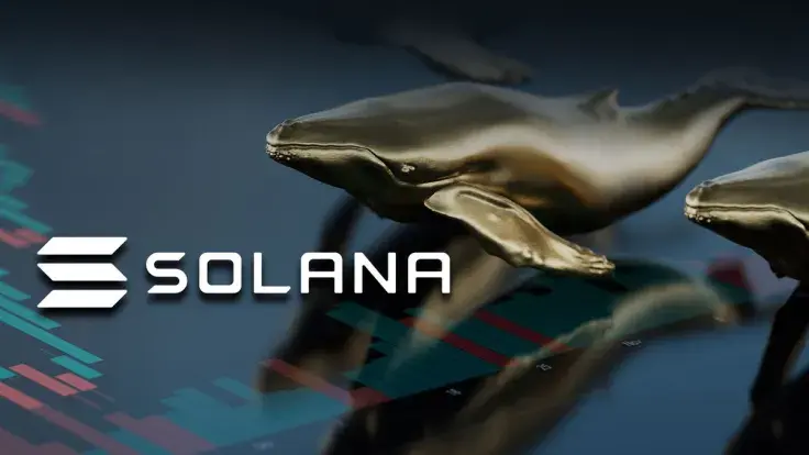 SOL Price Drop Makes BNB Whales Pick It up Massively