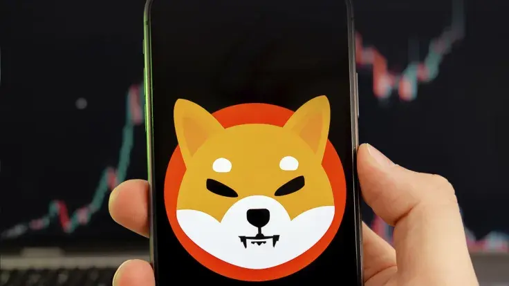 SHIB Records Slight Gain in Short-term Speculators, Here Is What's Happening
