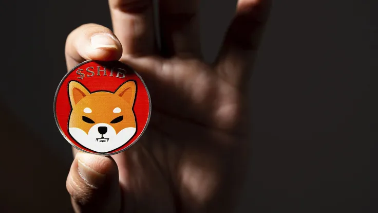 Shiba Inu Team Weighs In on Ongoing Crypto Crisis