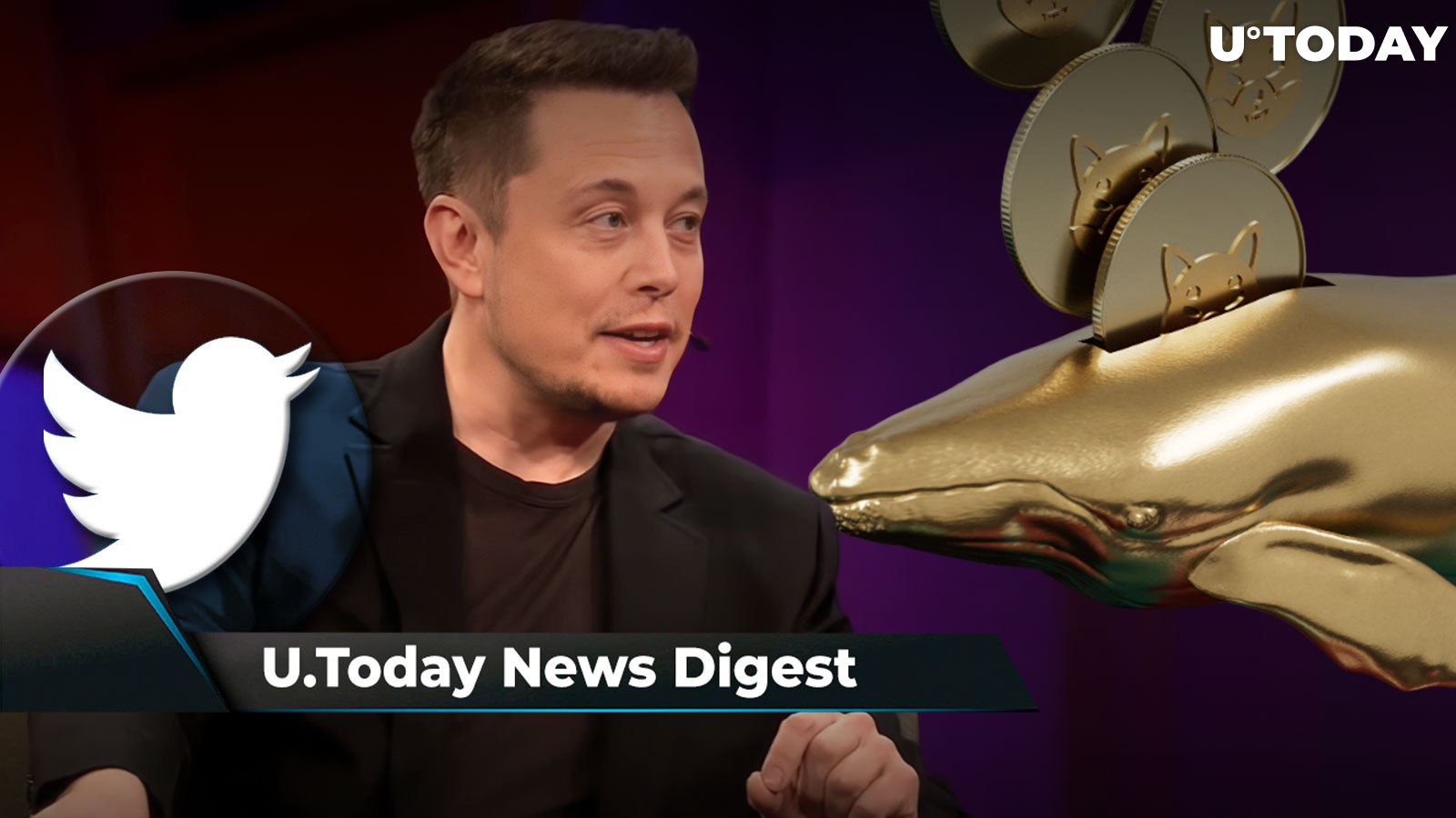 Here’s Why Musk Rejected FTX CEO’s Twitter Offer, SHIB Reacts Steadily to Whale Selling, Warren Buffett’s Old Crypto Warning Rings True: Crypto News Digest by U.Today