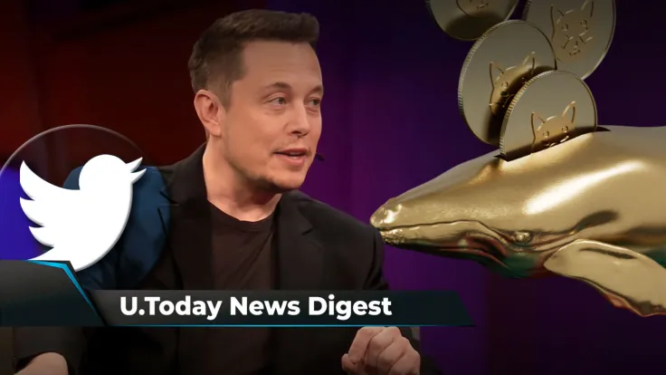 Here’s Why Musk Rejected FTX CEO’s Twitter Offer, SHIB Reacts Steadily to Whale Selling, Warren Buffett’s Old Crypto Warning Rings True: Crypto News Digest by U.Today