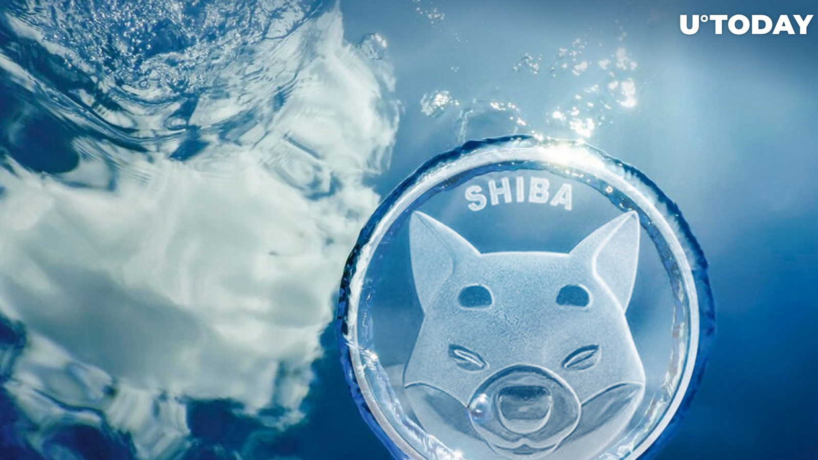 SHIB Price May Have Found Its Bottom, Here's What's Next