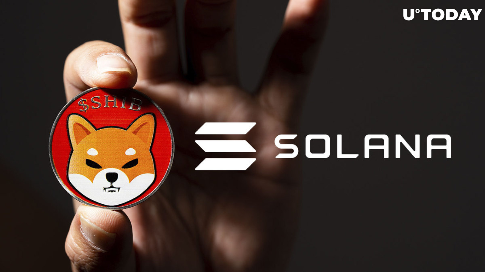 SHIB Capitalizes on Solana's Failures, Here's What It's About