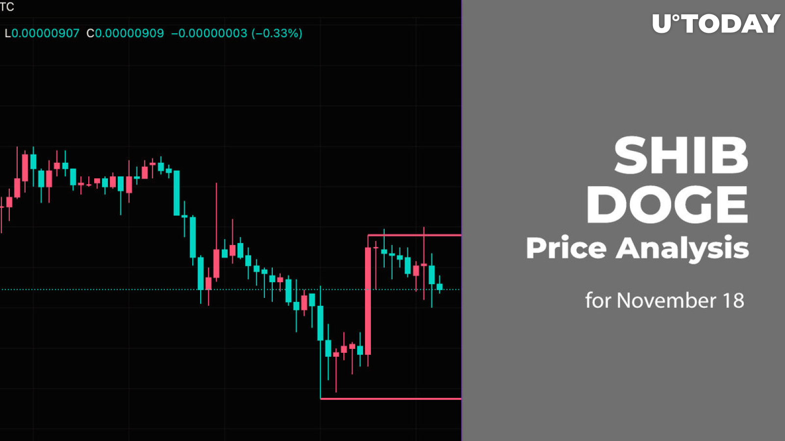 SHIB and DOGE Price Analysis for November 18