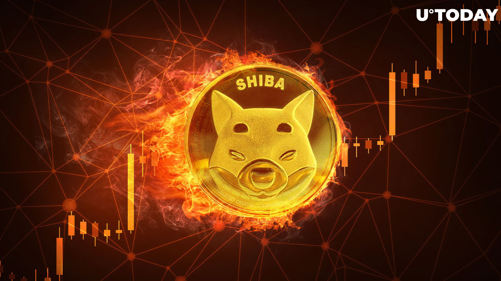 SHIB Burn Rate Rises 100% as Lead SHIB Dev Tweets "I Can Double Down Now"