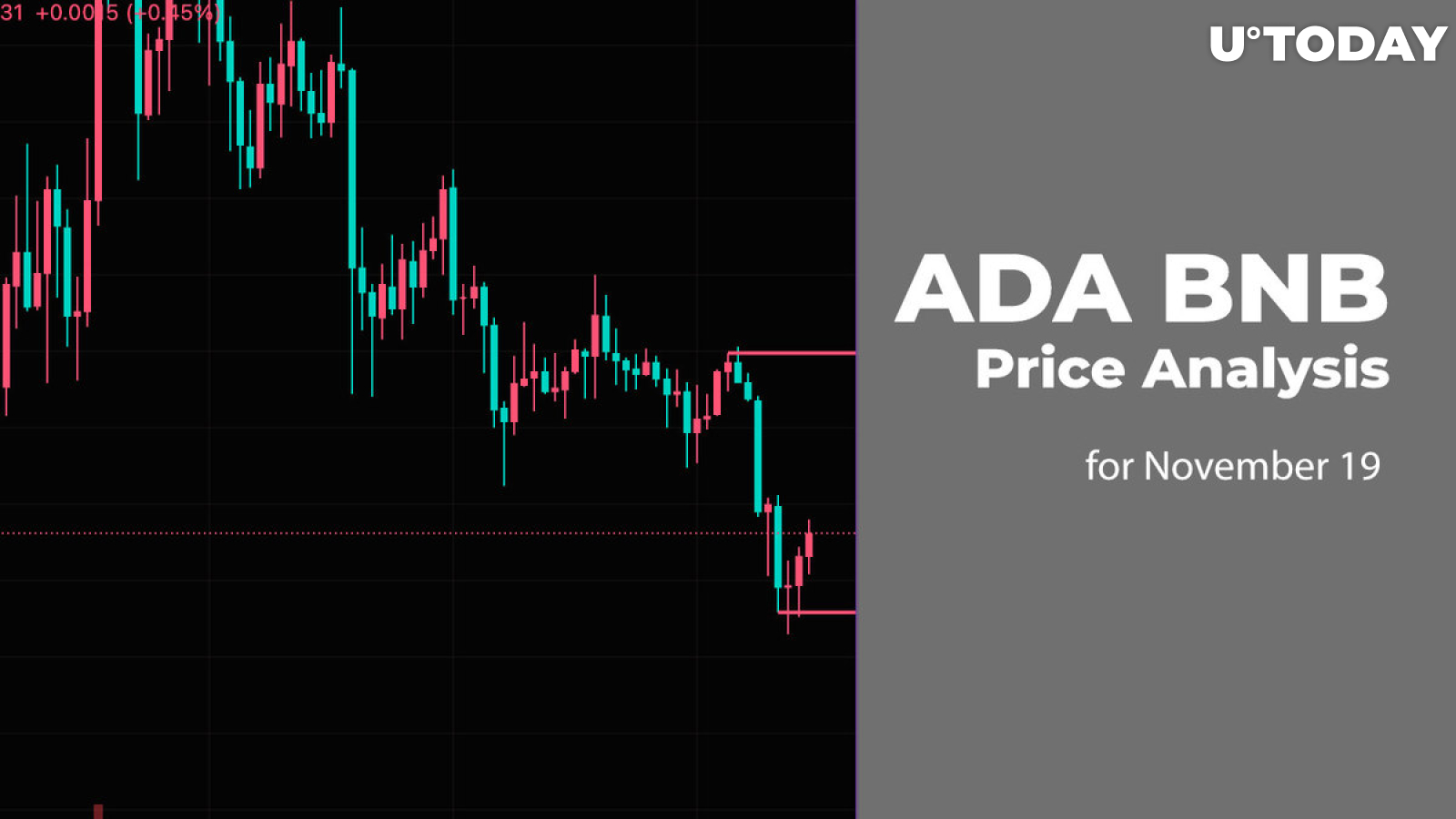 ADA and BNB Price Analysis for November 19