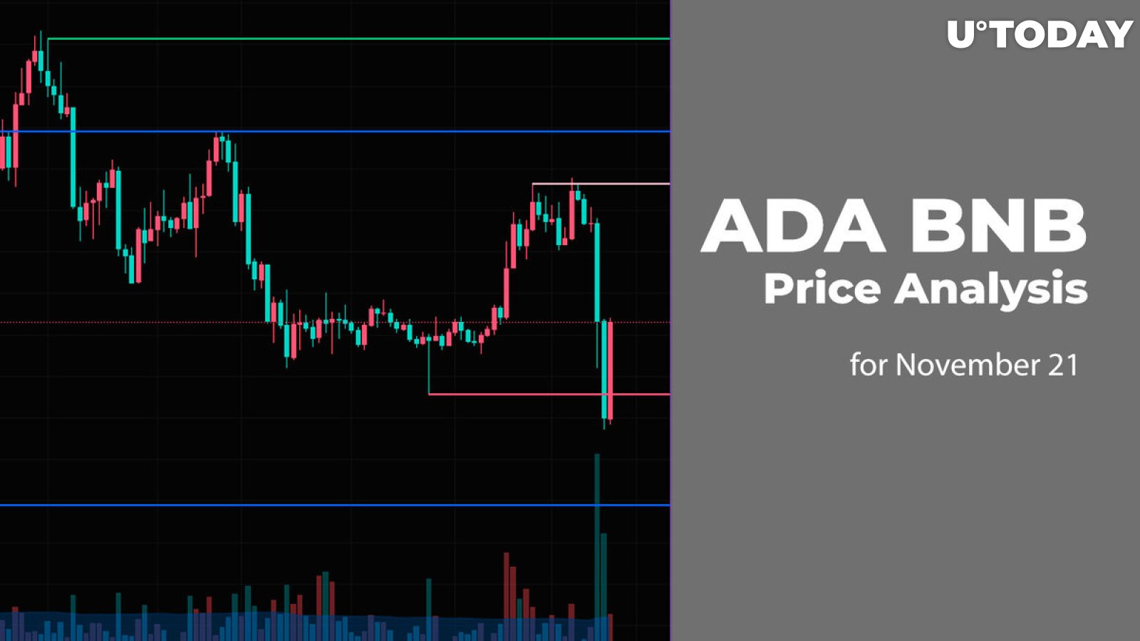 ADA and BNB Price Analysis for November 21