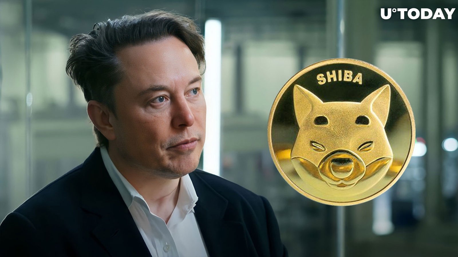 Shibburn Calls Elon Musk to Action, Here's What It's About