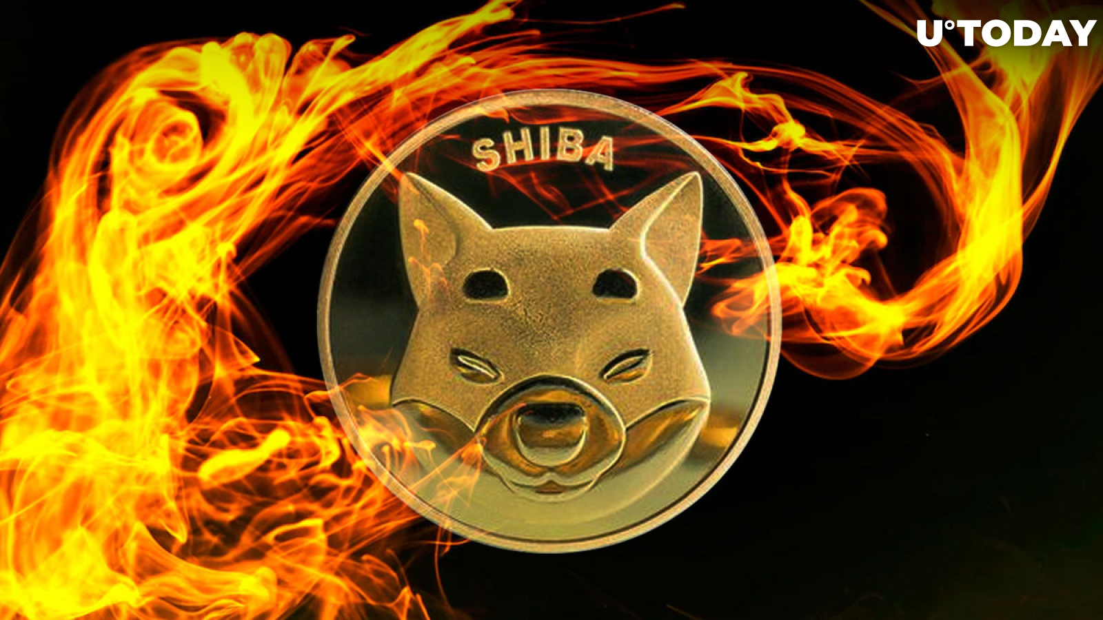 SHIB Burn Rate Spikes 1083% Amid Highest Daily Burn in Weeks
