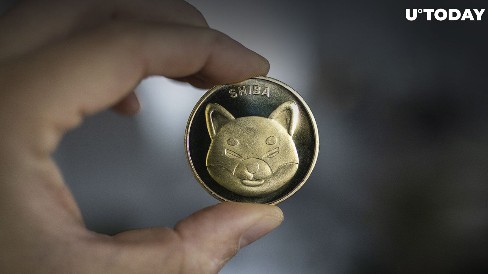 Nearly 2 Trillion SHIB Moved as Token’s Price up 10% Within 24 Hours