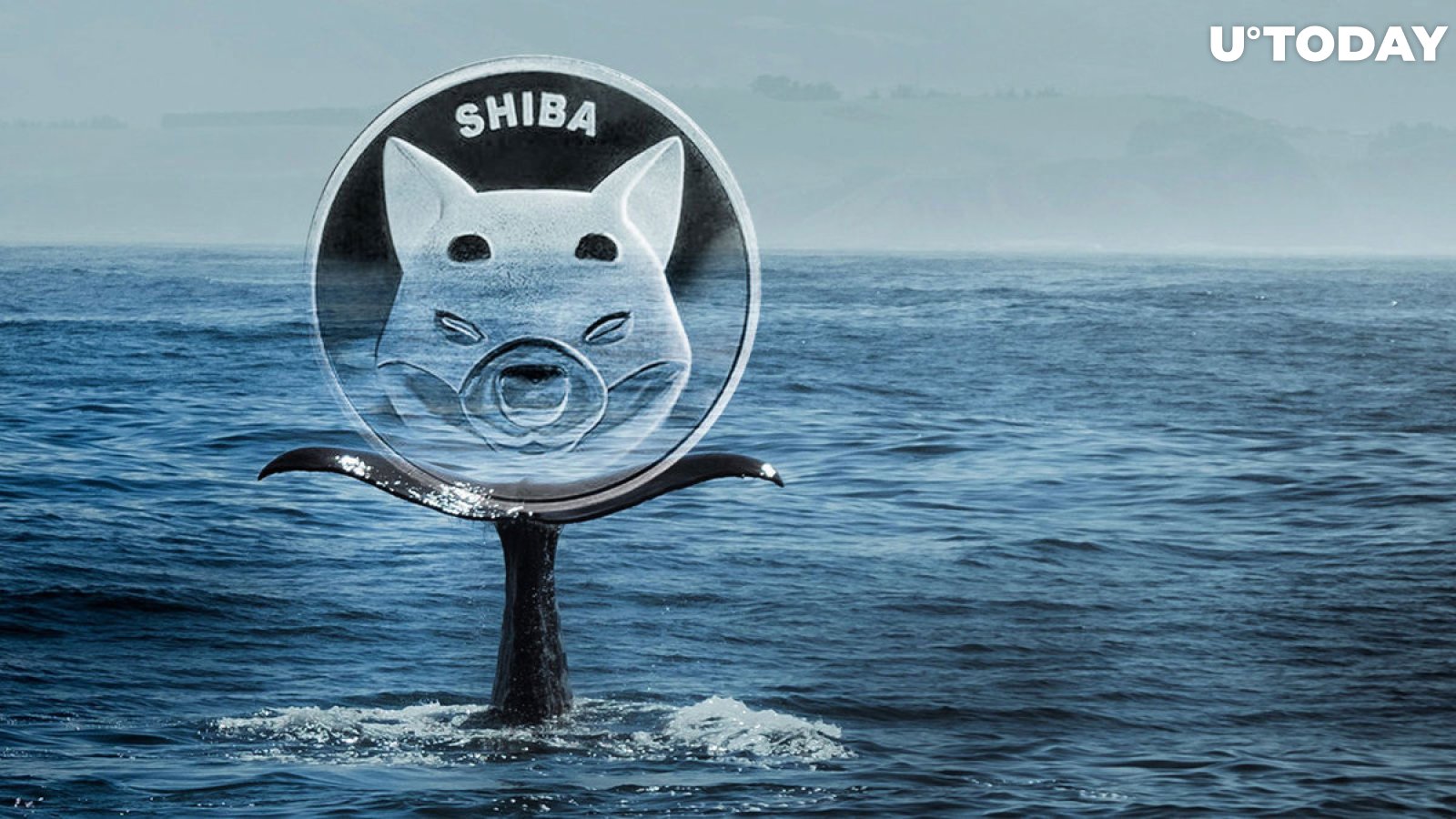SHIB Reacts to Whales' Buying, Will Price Burn Extra Zero?