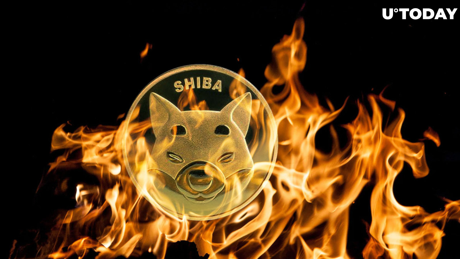 Shiba Inu Sees Nearly 100% Weekly Burns, What's Next on SHIB Price?