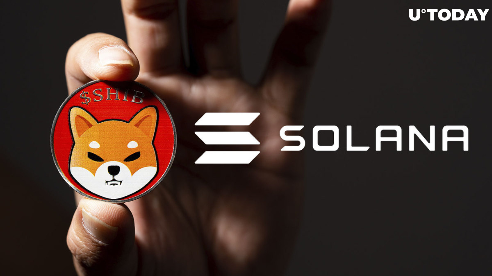 SHIB Can Finally Take Over Solana in Market Cap Top If These Things Happen