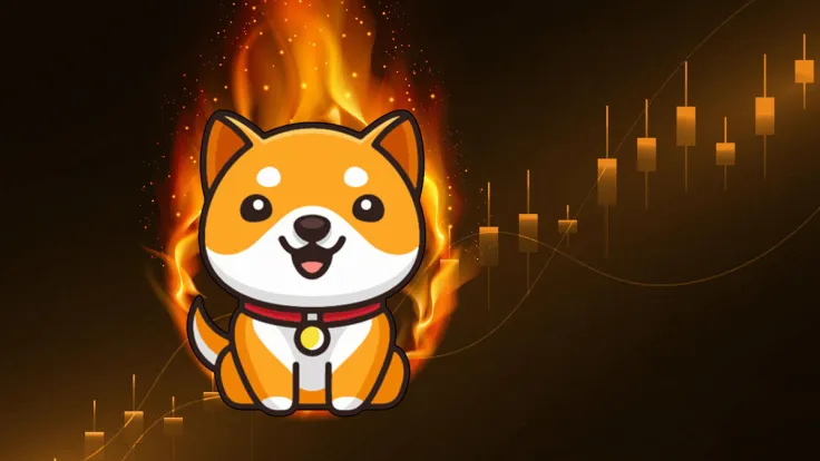 Massive BabyDoge Burn Coming in 2 Days: Report