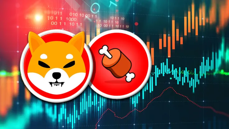 Shiba's BONE Soars 12% as This New York Exchange Lists It