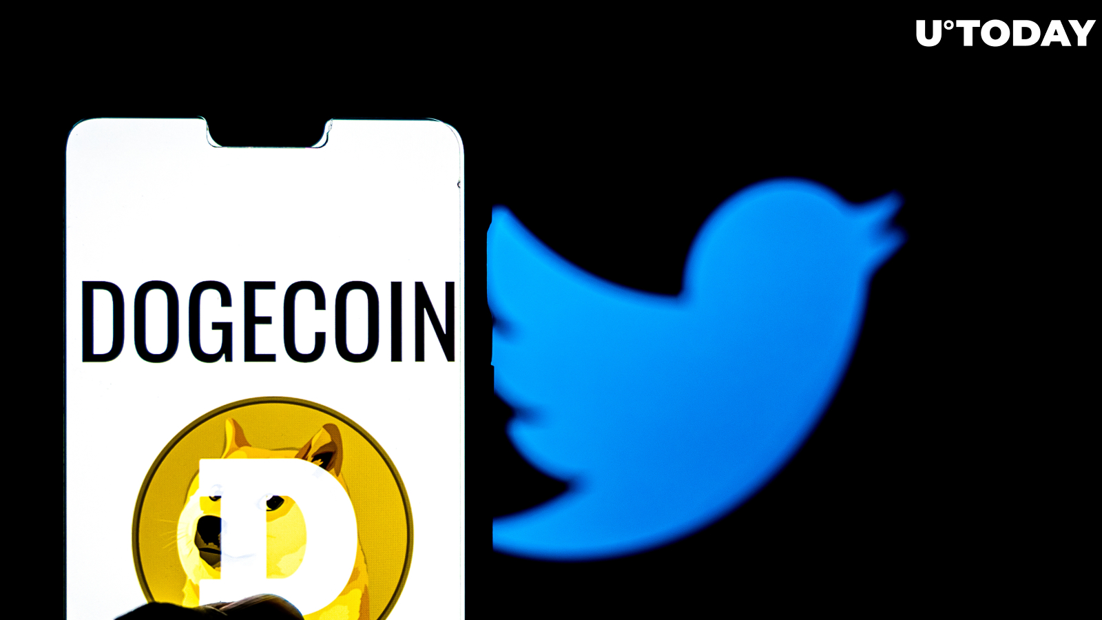 Twitter Drama Increased Dogecoin’s Volatility, Analyst Says