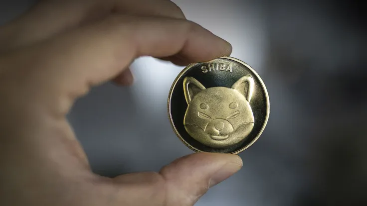 Number of SHIB Holders Changing in Unexpected Way