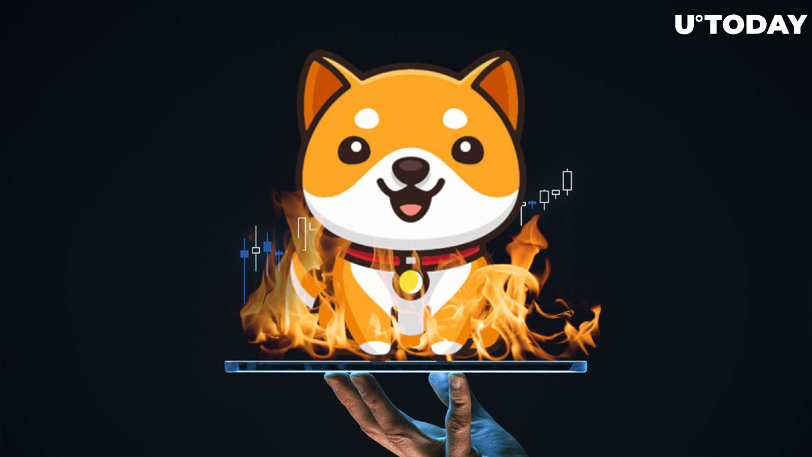 $1.1 Million in BabyDoge Burnt, Here's What's Happening to Price