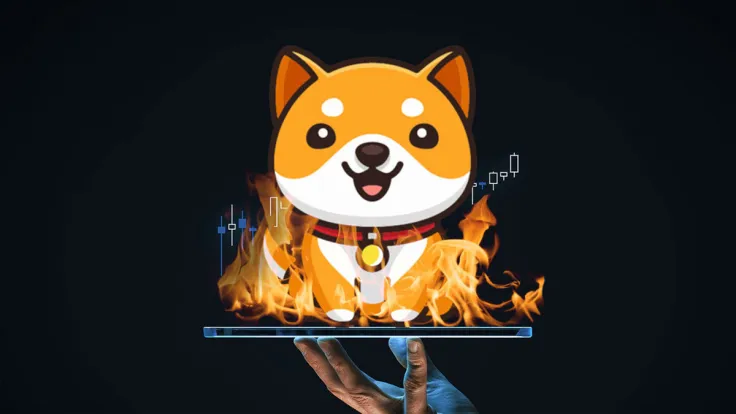 $1.1 Million in BabyDoge Burnt, Here's What's Happening to Price