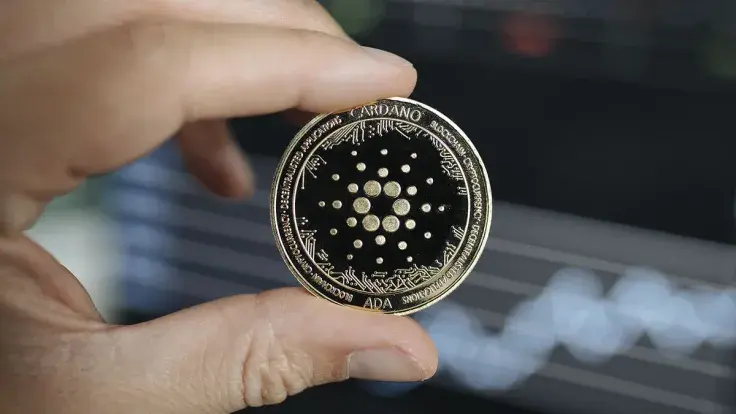 These Investors Buying Up Cardano (ADA) En Masse, What Is Their Plan?