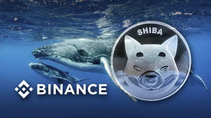 Hundreds of Billions of SHIB Moved by Mysterious Whales to Binance as Price Shows Some Gains