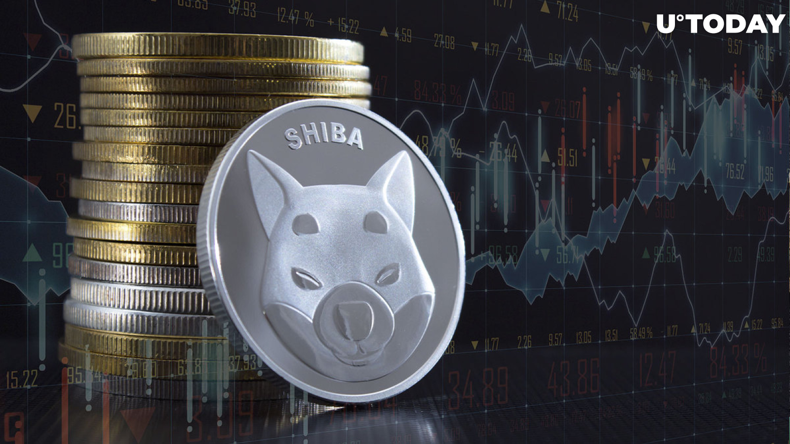 SHIB Large Transactions up Whopping 479%, What's Happening?