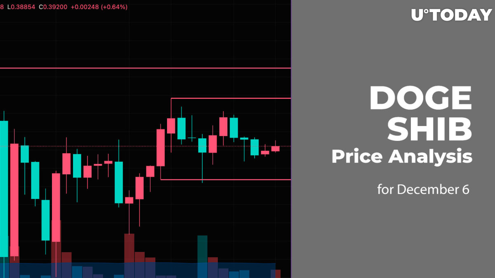 DOGE and SHIB Price Analysis for December 6