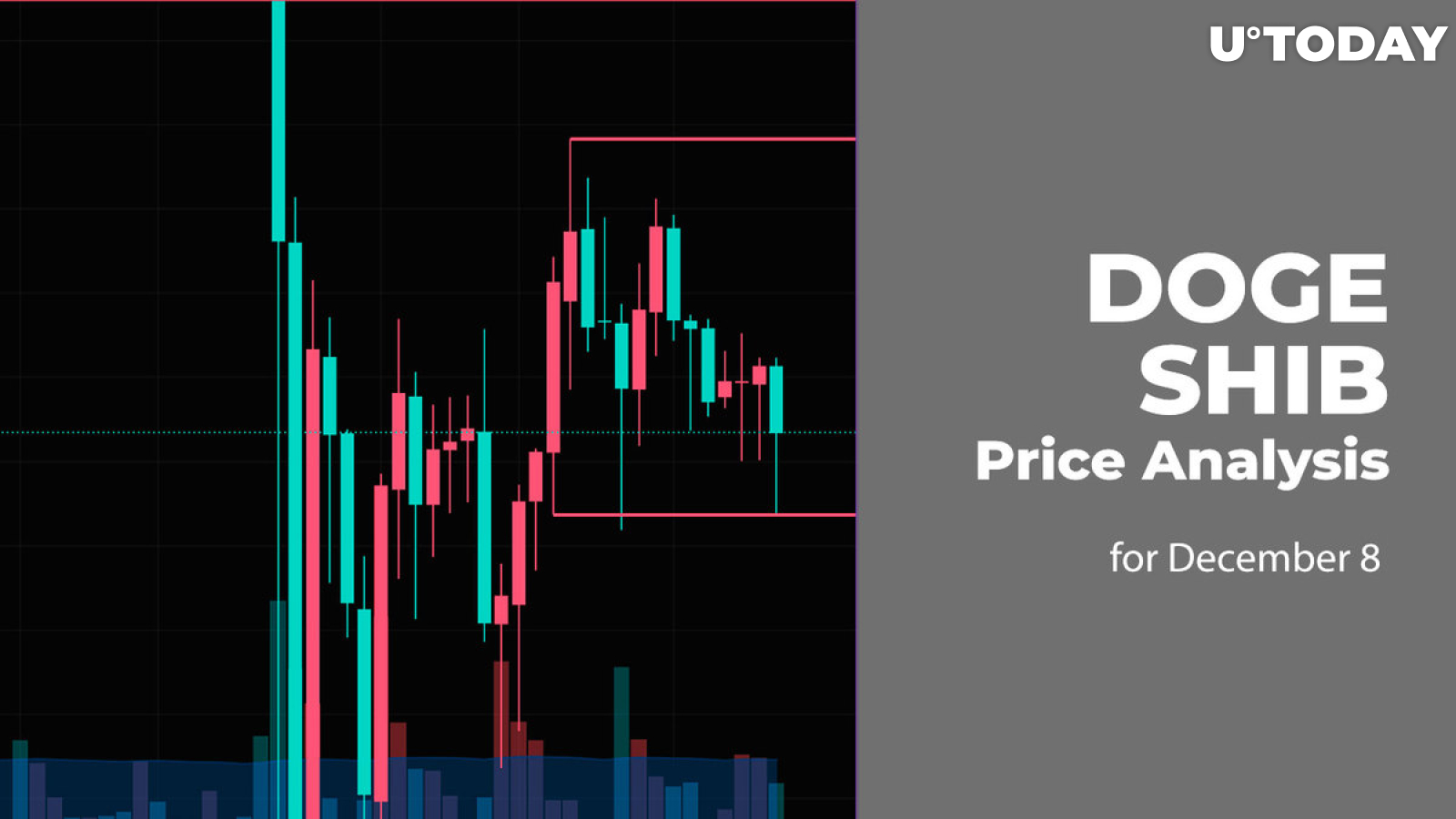 DOGE and SHIB Price Analysis for December 8
