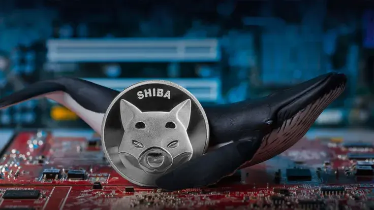 Trillions of SHIB Moved by Mysterious Whale, While SHIB Enters Unusual Top