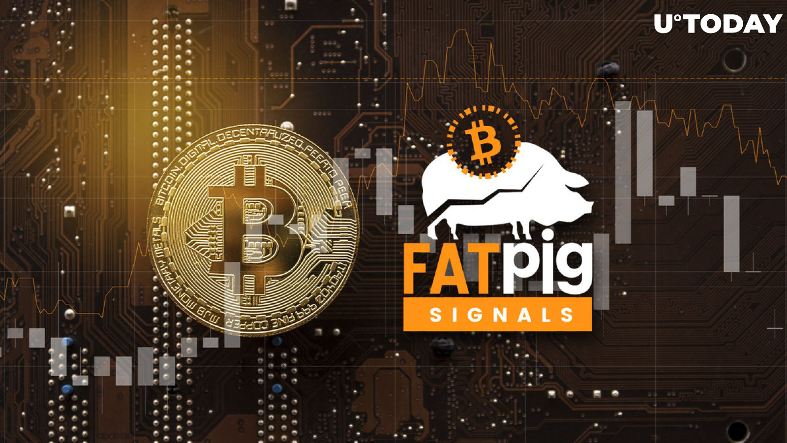 Bitcoin (BTC) Macro Risk/Reward Indicators Look Promising, Fat Pig Signals Analysts Say