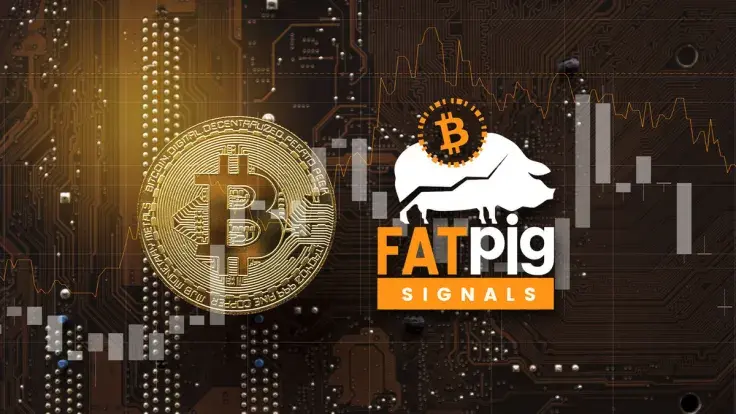 Bitcoin (BTC) Macro Risk/Reward Indicators Look Promising, Fat Pig Signals Analysts Say