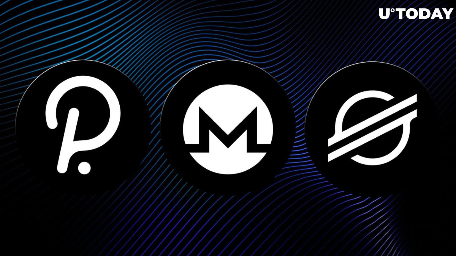 DOT, XMR, XLM Might Be Potential Candidates for Price Increases, Here's Why