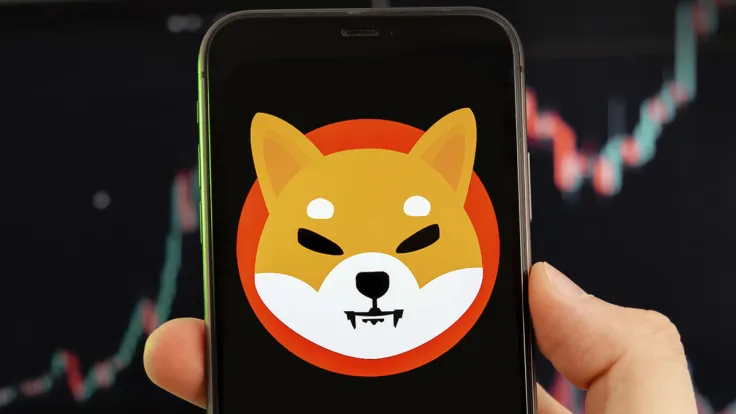 SHIB Price Reacts with Massive Hourly Green Candle, Here's What Might Be Next