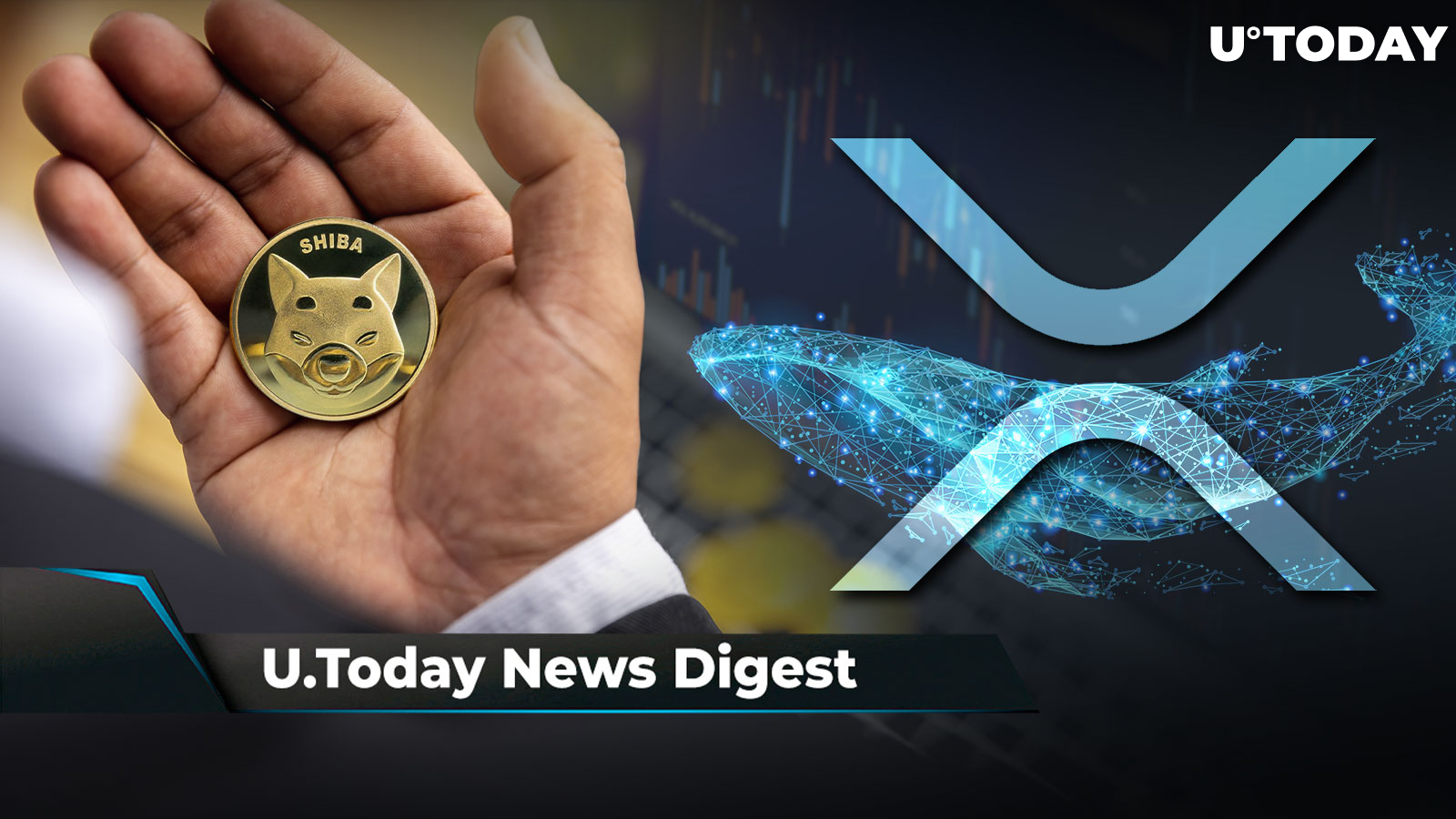 Millionaire XRP Whales Quickly Increase Holdings, Binance Sees $2 Billion Outflow After Criminal Charges News, SHIB Back on Investors’ Radar: Crypto News Digest by U.Today