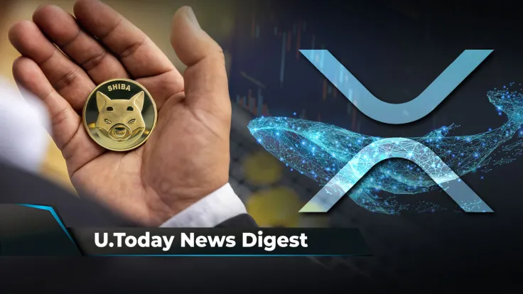 Millionaire XRP Whales Quickly Increase Holdings, Binance Sees $2 Billion Outflow After Criminal Charges News, SHIB Back on Investors’ Radar: Crypto News Digest by U.Today