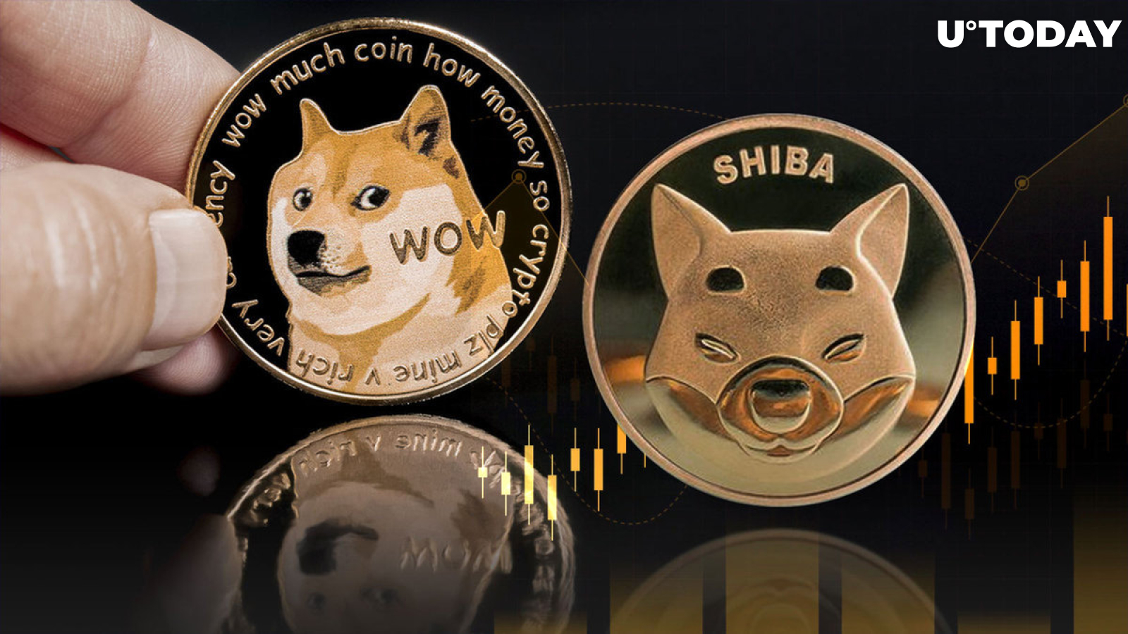 Shiba Inu (SHIB) Soars 13% Against Dogecoin (DOGE) and That May Not Be All Yet