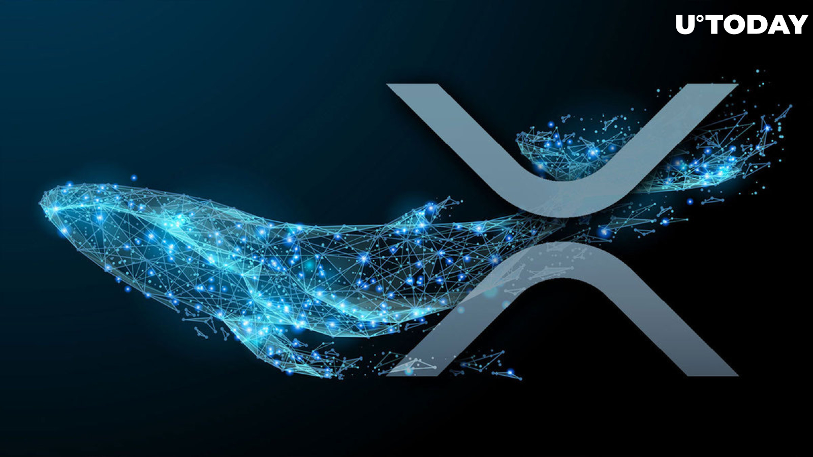Large XRP Holders Accumulate So Much XRP That They Set Records