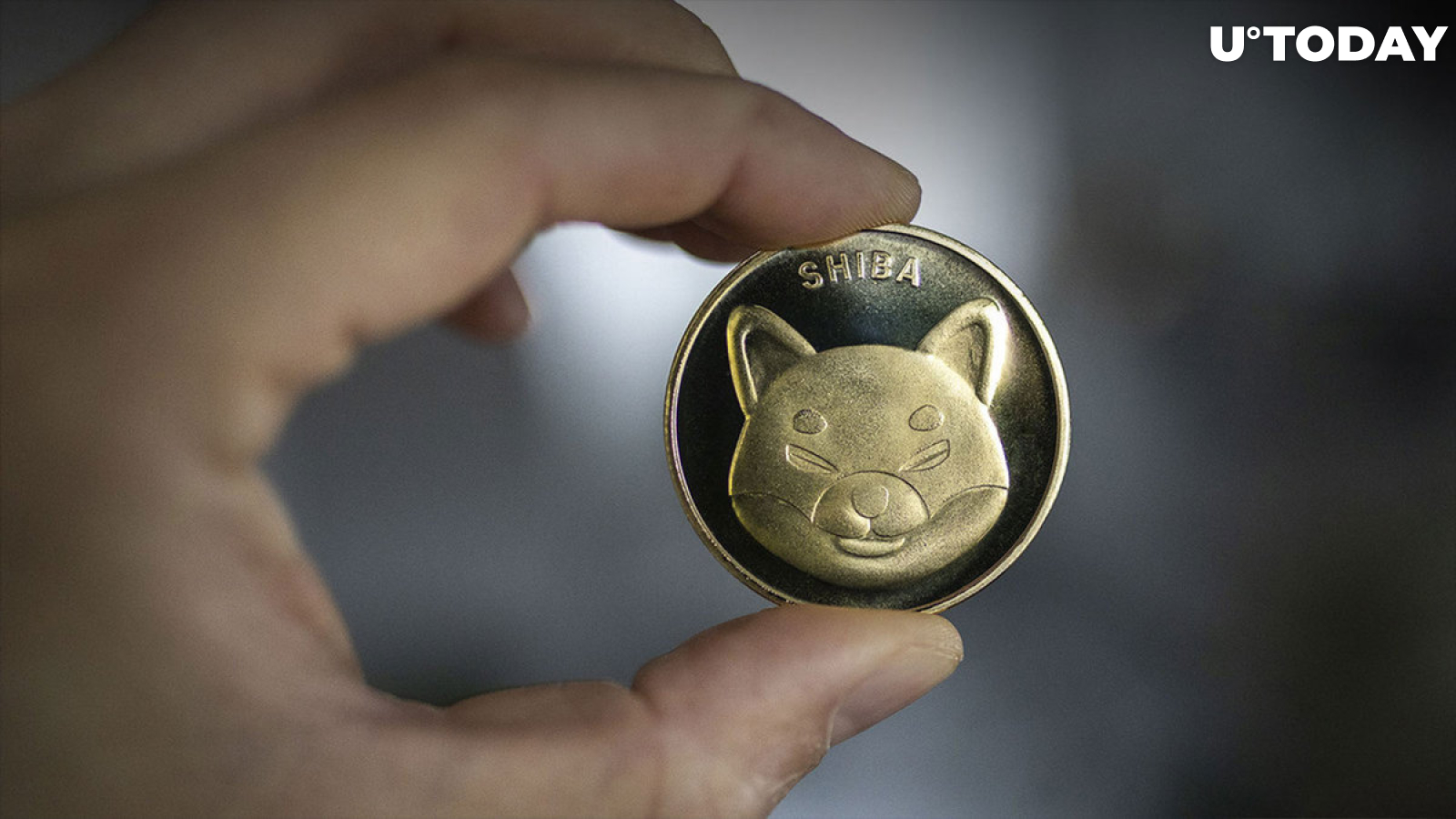 Shiba Inu's Profitability at 13%, Here's What Happens If It Drops Below 10%