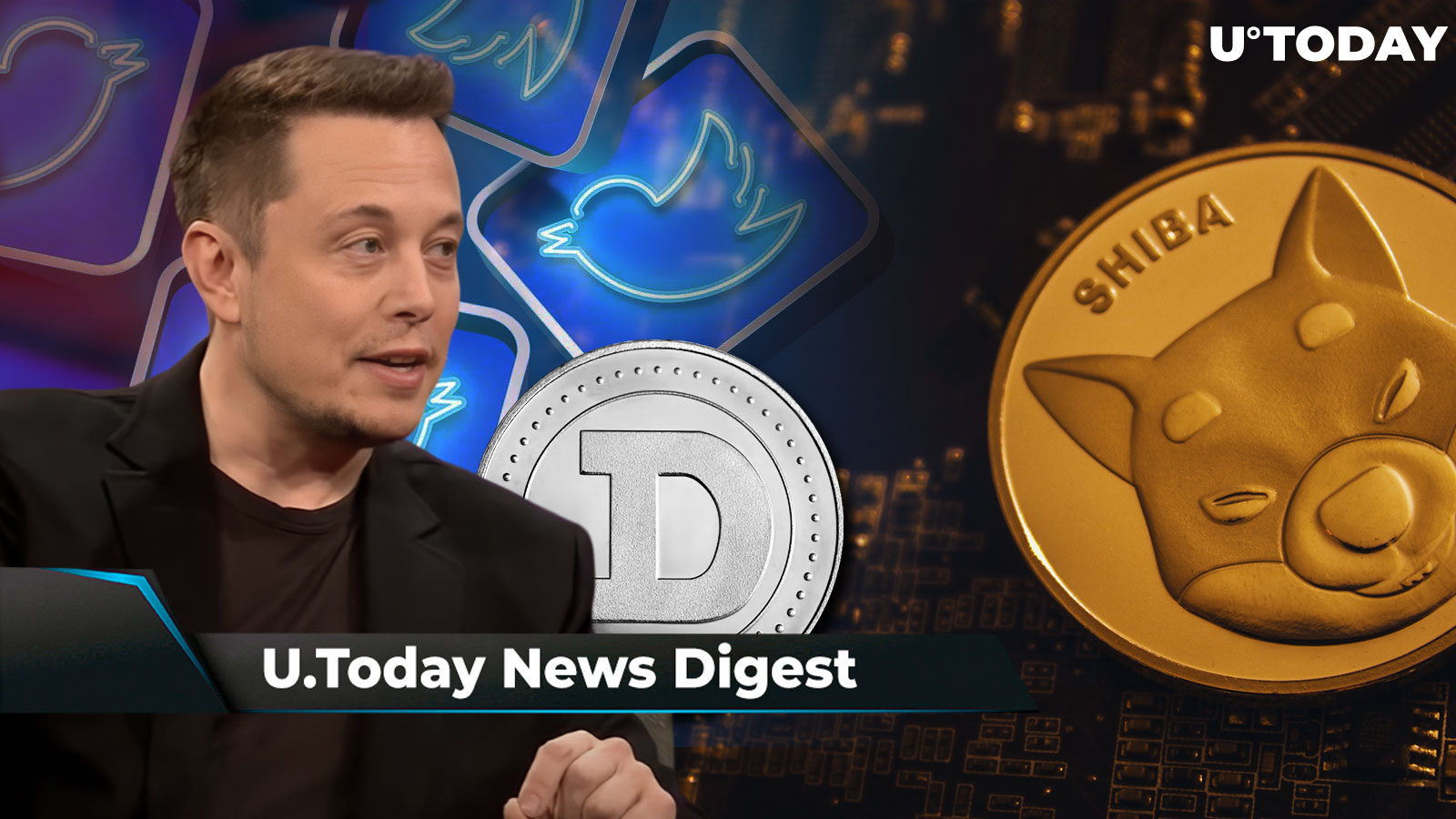 Elon Musk May Talk to DOGE Army via Twitter Spaces, XRP Accepted as Payment for Luxury Homes in Dubai, 72.46 Billion SHIB Dumped: Crypto News Digest by U.Today