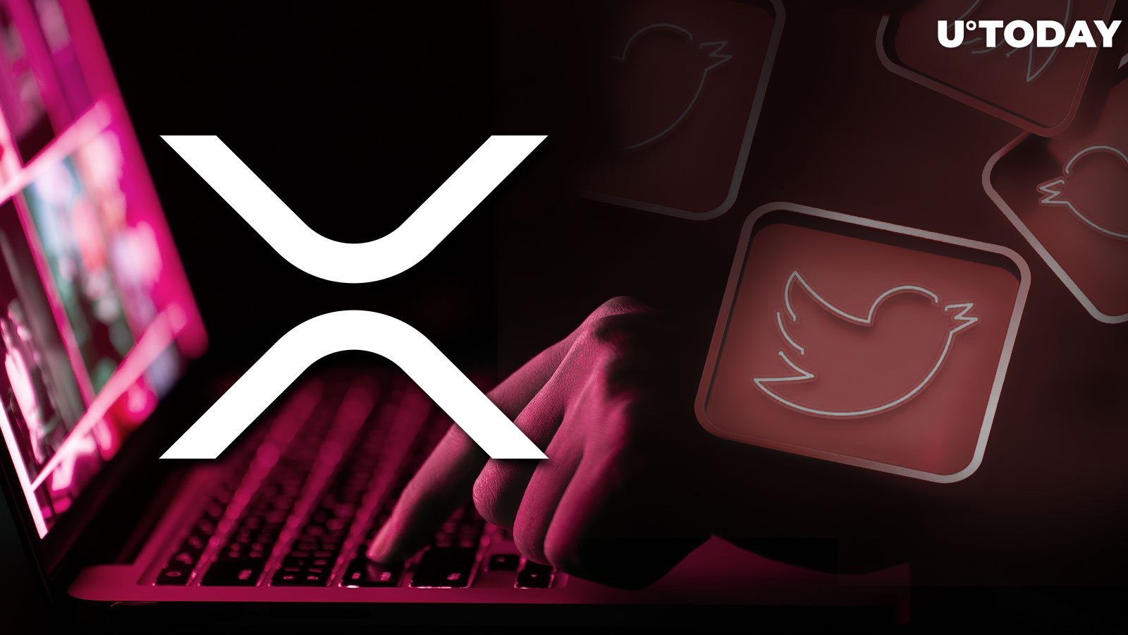 XRP Scammers Take Over Michel Pereira's Twitter Account