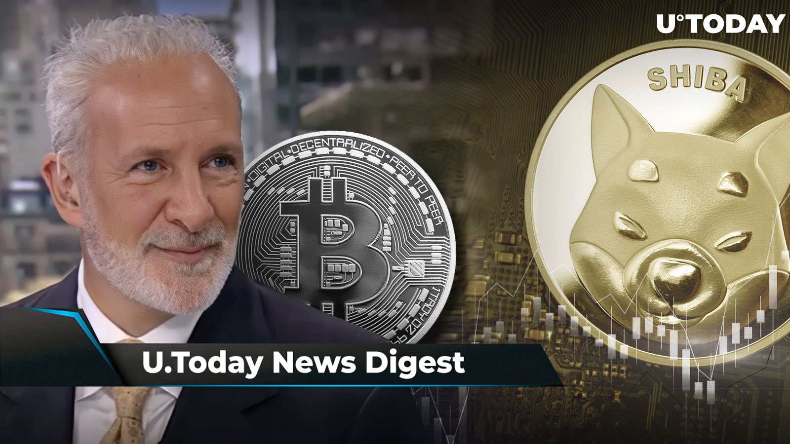 Peter Schiff Has “Christmas Gift” for BTC Holders, DOGE Turns into Top Traded Crypto After Elon Musk’s Post, SHIB Forms Reversal Pattern: Crypto News Digest by U.Today
