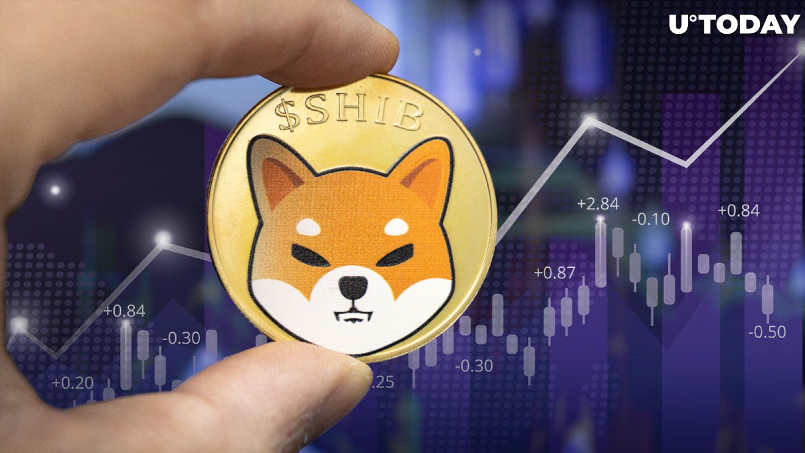 SHIB Gains 28% Against DOGE in December as Major Release Is Expected