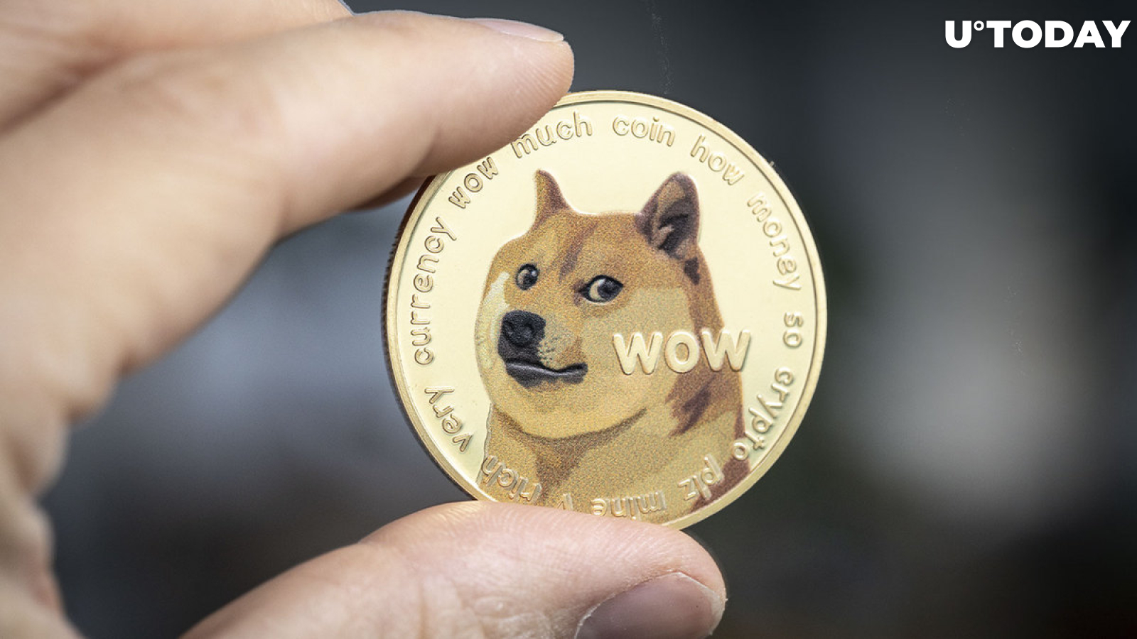 $1 DOGE Bet of This Influencer Fails, Now He Might Delete His Account