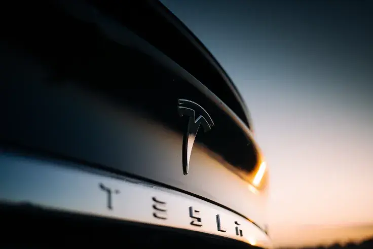 Tesla (TSLA) Performs on Par with Shiba Inu (SHIB) in 2022