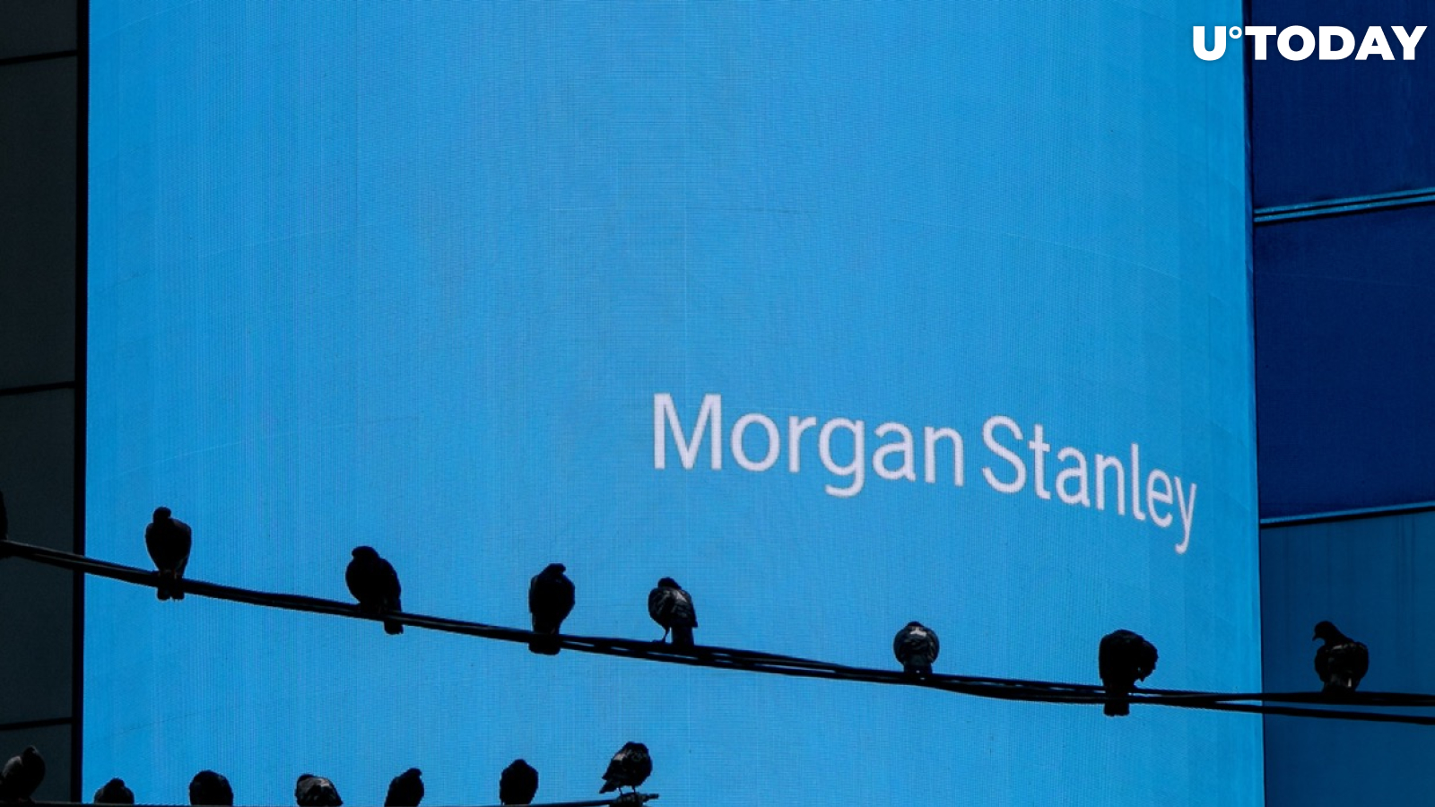 Morgan Stanley CEO Doesn’t Think Crypto Is a Fad 