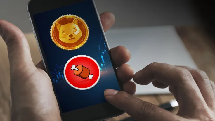 Shibarium's Central Token BONE Spikes 12% in Past Week: Possible Reasons