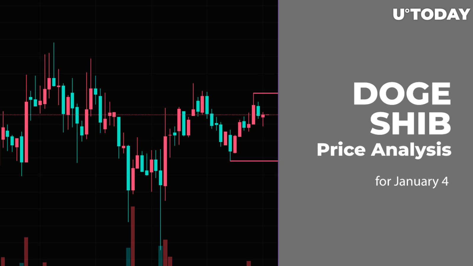 DOGE and SHIB Price Analysis for January 4